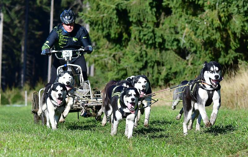 Abertamský sprint přilákal na start závodu devadesátku mašérů, kteří se představili v patnácti kategoriích. 