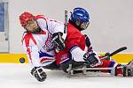 Paralympiáda, Soči: Česko - Korea 2:0.