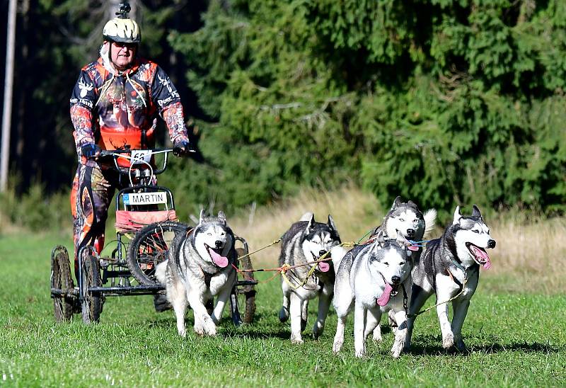 Abertamský sprint přilákal na start závodu devadesátku mašérů, kteří se představili v patnácti kategoriích. 