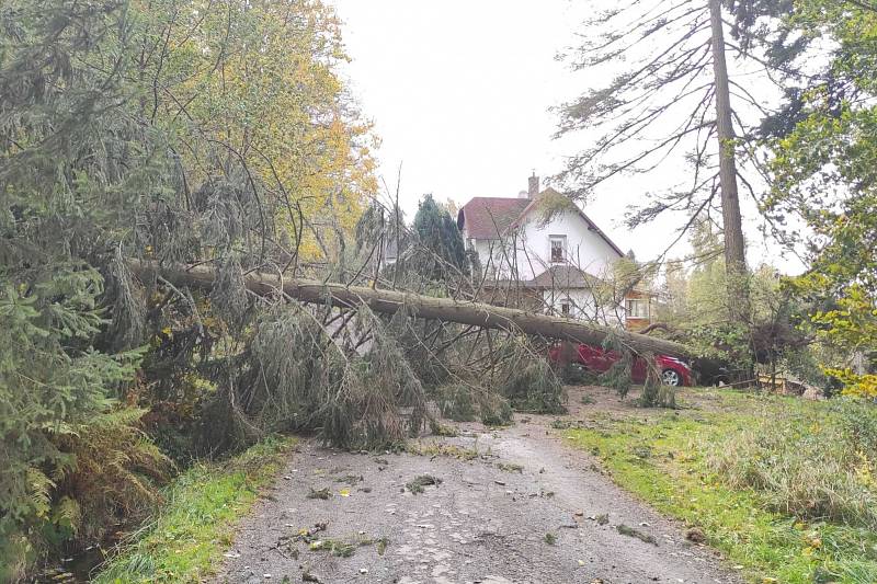 Ze zásahu hasičů. Vítr ve čtvrtek lámal stromy, ničil střechy...