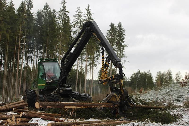 Harvestory jsou velkými pomocníky i Lázeňských lesů. Nyní zpracovávají kalamitu poblíž policejní střelnice nad Hubertusem.