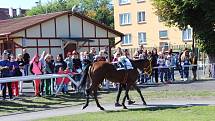 Posledním dostihovým odpolednem skončila v neděli v Karlových Varech letošní dostihová sezona.