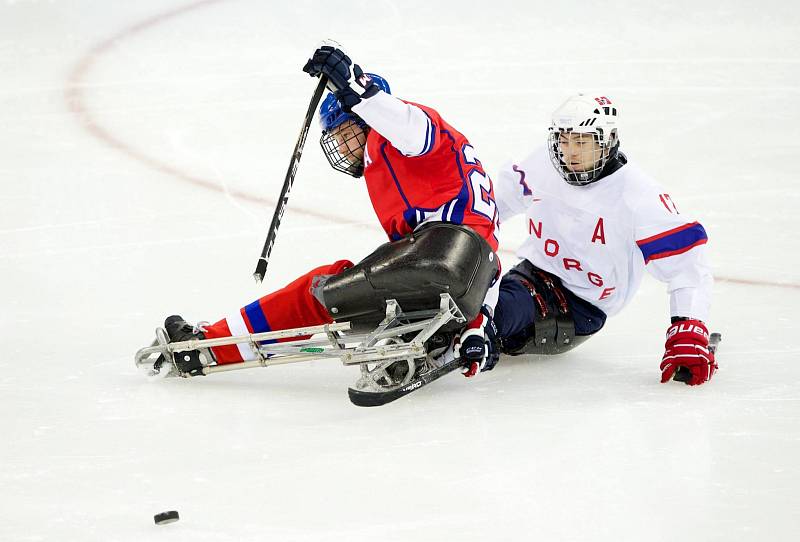 Paralympiáda: Česko - Švédsko 2:1 po sn