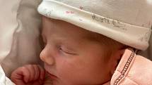 Ellen Trzaskaliková se narodila 15. února v 17:24 rodičům Lucii a Ivovi z Plzně. Po příchodu na svět v plzeňské FN na Lochotíně vážila sestřička dvouleté Sárinky 2950 g a měřila 47 cm.
