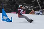 Snowboardisté měli na programu paralelní obří slalom. Ve všech čtyřech kategoriích si velmi dobře vedl Moravskoslezský kraj, který získal celkem pět medailových umístění. V kategorii mladších dívek zazářil kraj Ústecký. Foto: Radek Miča/Czech Olympic