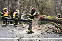 Kvůli větru zasahovali hasiči u 45 událostí. Padaly stromy i reklamy