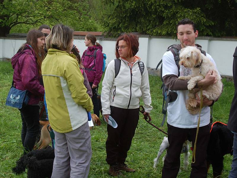 Dog Cup aneb Jak si užít se čtyřnohým parťákem.