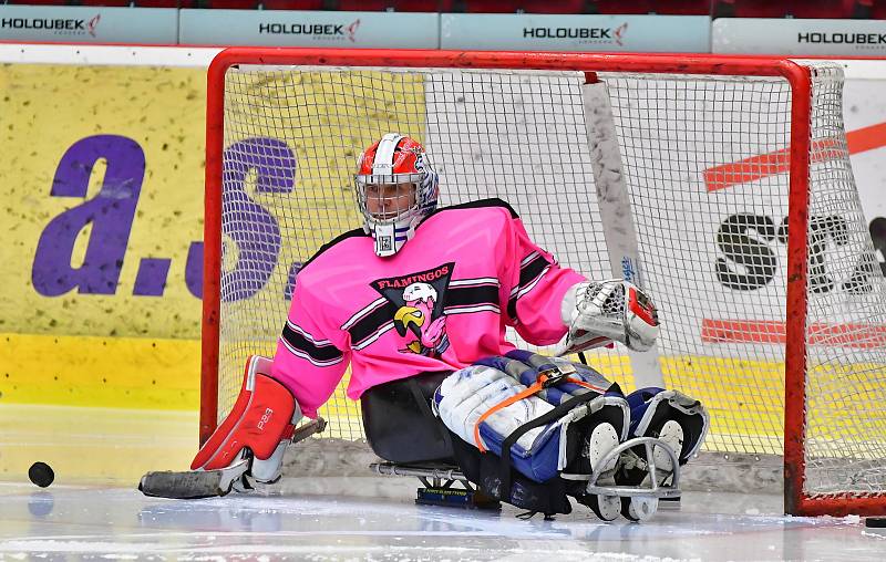 Již dva dny bojují v rámci I. ročníku Karlovy Vary Para Ice Hockey Tournament v lázeňském městě na ledě KV Areny o vítěznou trofej čtyři para hokejové výběry.