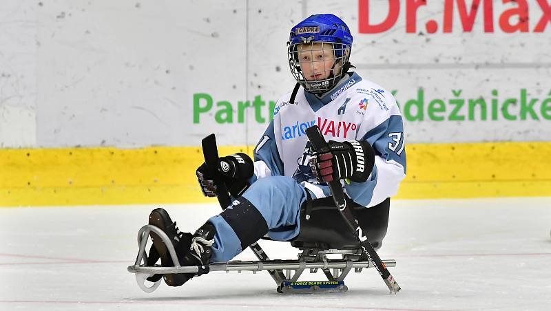 Již dva dny bojují v rámci I. ročníku Karlovy Vary Para Ice Hockey Tournament v lázeňském městě na ledě KV Areny o vítěznou trofej čtyři para hokejové výběry.