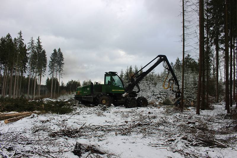 Harvestory jsou velkými pomocníky i Lázeňských lesů. Nyní zpracovávají kalamitu poblíž policejní střelnice nad Hubertusem.