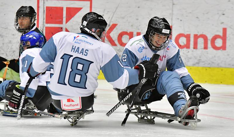 Již dva dny bojují v rámci I. ročníku Karlovy Vary Para Ice Hockey Tournament v lázeňském městě na ledě KV Areny o vítěznou trofej čtyři para hokejové výběry.