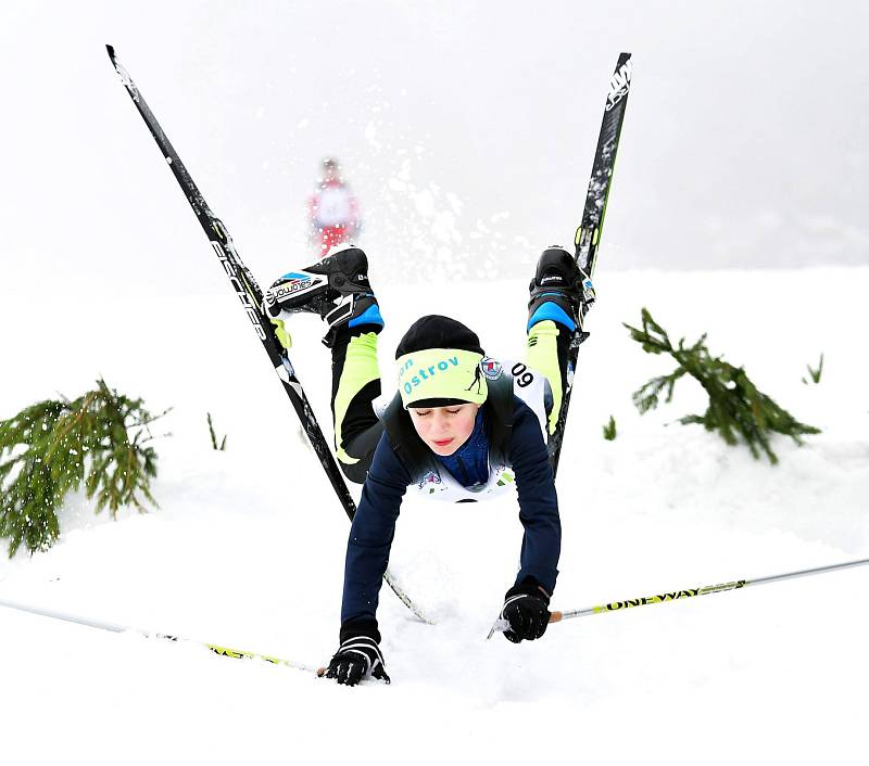 LYŽUJ LESY 2019 - Boží Dar