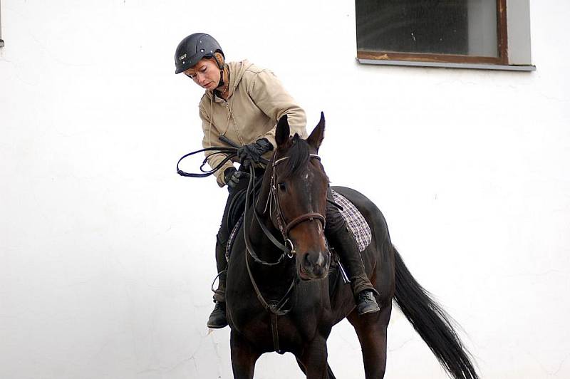 Šestinásobný vítěz Velké pardubické Josef Váňa. Legendární žokej dlouho v klidu nevydrží. V úterý už byl opět v sedle a trénoval.