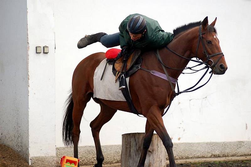 Šestinásobný vítěz Velké pardubické Josef Váňa. Legendární žokej dlouho v klidu nevydrží. V úterý už byl opět v sedle a trénoval.