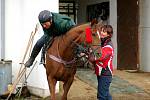 Šestinásobný vítěz Velké pardubické Josef Váňa. Legendární žokej dlouho v klidu nevydrží. V úterý už byl opět v sedle a trénoval.