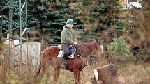 Šestinásobný vítěz Velké pardubické Josef Váňa. Legendární žokej dlouho v klidu nevydrží. V úterý už byl opět v sedle a trénoval.