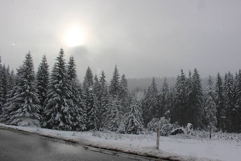 V nižších polohách to ještě není znát, ale do Krušných hor přišla zima. Napadalo tady kolem 20 centimetrů sněhu. V nejvyšších polohách by pak mohla sněhová pokrývka vydržet až do soboty. Další sníh by pak mohl v horských připadat v pondělí.