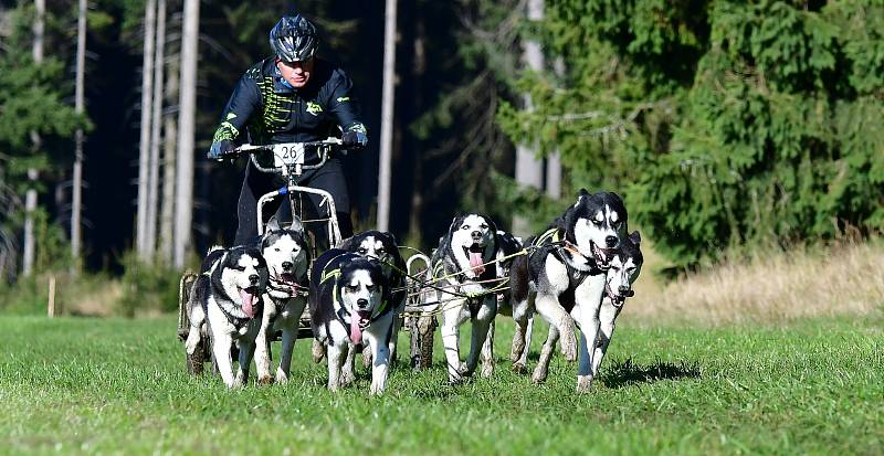 Abertamský sprint přilákal na start závodu devadesátku mašérů, kteří se představili v patnácti kategoriích.