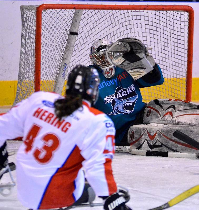 O víkendu si hráči karlovarského SKV Sharks (v modrém) připsali na konto výhru 4:0 nad Olomoucí, k tomu pak přidali prohru s Pardubicemi 4:6.