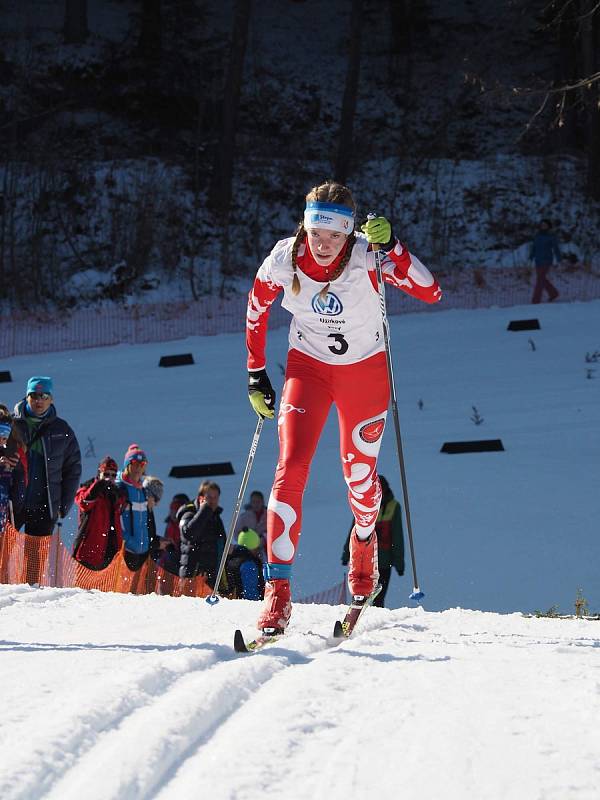 Úspěšný víkend má za sebou výprava v barvách LK Slovan Karlovy Vary, která po dva víkendové dny bojovala ve Vimperku v Českém poháru žactva v běhu na lyžích.