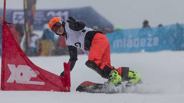 Snowboardisté měli na programu paralelní obří slalom. Ve všech čtyřech kategoriích si velmi dobře vedl Moravskoslezský kraj, který získal celkem pět medailových umístění. V kategorii mladších dívek zazářil kraj Ústecký. Foto: Radek Miča/Czech Olympic