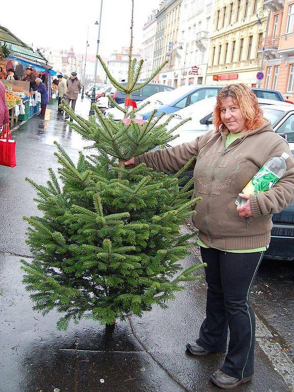 NÁVAL TEPRVE PŘIJDE. Vánoční stromečky se prodávají i ve Varšavské ulici. Výběr je velký. Zatím.