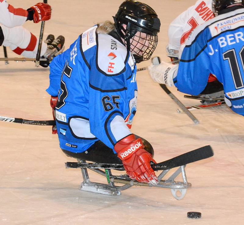 Sledge hokej: SKV Sharks K. Vary - SHK Mustangové AUTO IN 3:1.