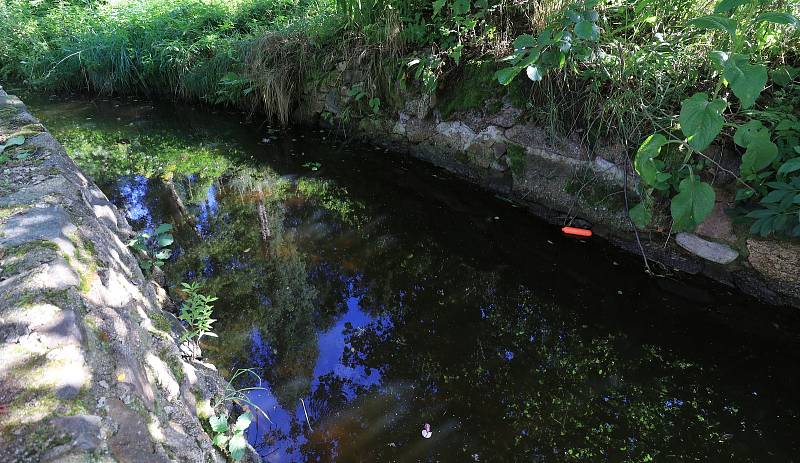 Bečovská botanická zahrada