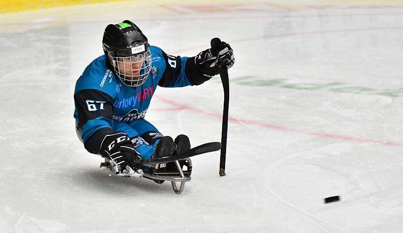 Para hokejisté Sharks i napodruhé porazili pražskou Spartu, když dosáhli tentokrát na výhru 4:0.