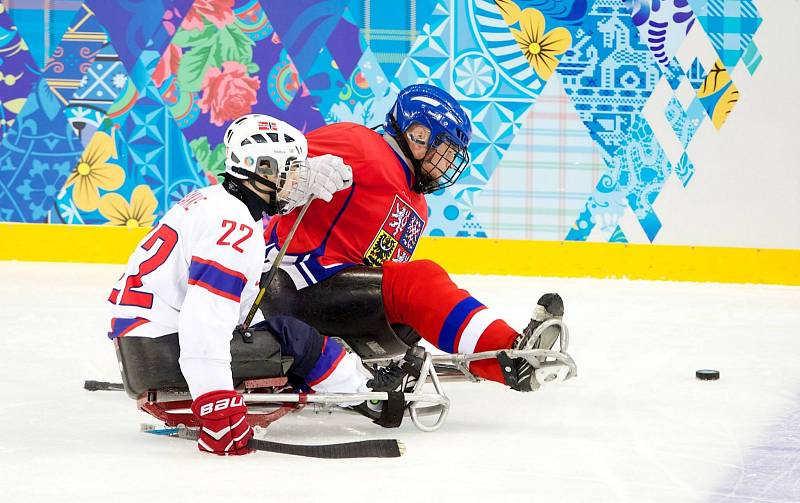 Paralympiáda: Norsko - Česko 2:1 po sn