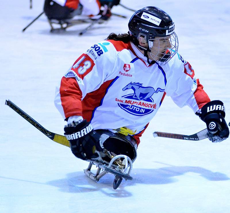 O víkendu si hráči karlovarského SKV Sharks (v modrém) připsali na konto výhru 4:0 nad Olomoucí, k tomu pak přidali prohru s Pardubicemi 4:6.