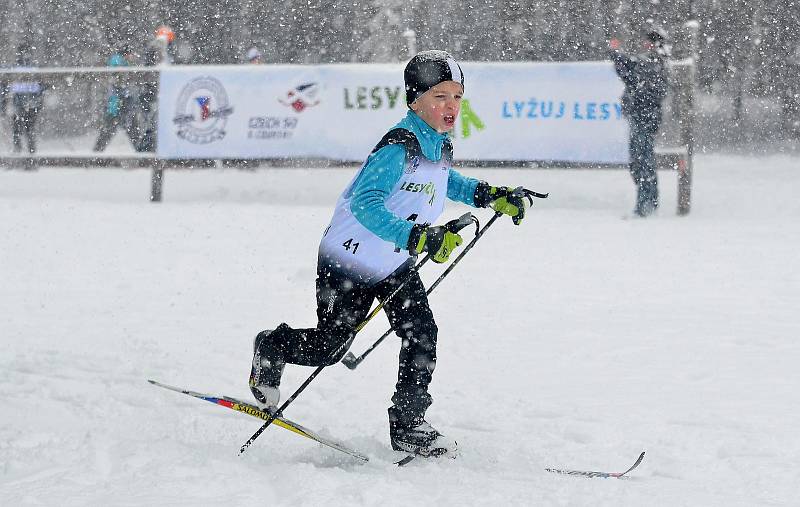 Na Jahodovou louku zamířilo 180 žáků z čtyřiadvaceti škol z Karlovarského kraje, aby si na vlastní kůži vyzkoušeli nástrahy bílé stopy.