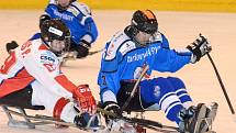 Sledge hokej: SKV Sharks K. Vary - SHK Mustangové AUTO IN 3:1.