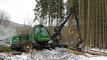 Harvestory jsou velkými pomocníky i Lázeňských lesů. Nyní zpracovávají kalamitu poblíž policejní střelnice nad Hubertusem.