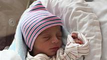 Adrian Bihary z Rokycan se narodil v plzeňské porodnici na Lochotíně 4. srpna  v 8:00 hodin (2200 g) rodičům Darině a Andrejovi. Na brášku se těšili sourozenci Andrej (3) a Sára (5).