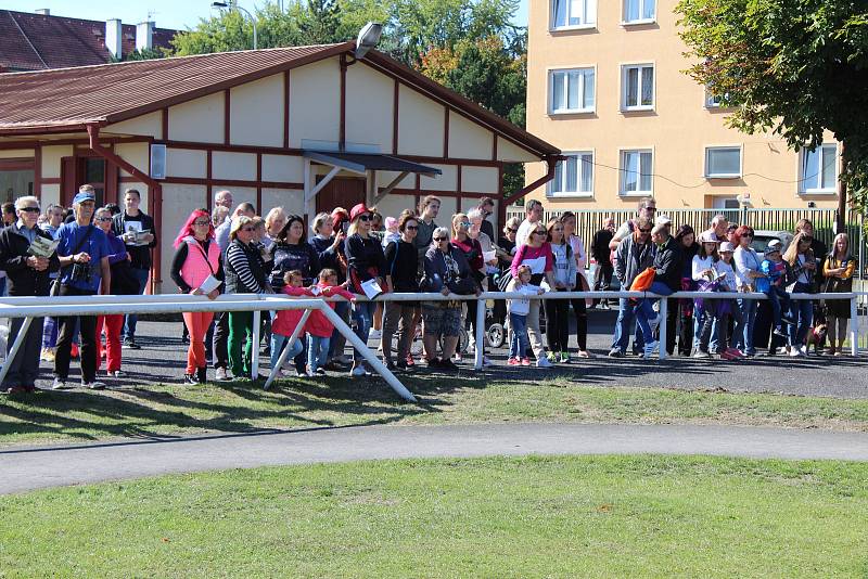 Posledním dostihovým odpolednem skončila v neděli v Karlových Varech letošní dostihová sezona.