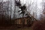 Hasiči v Karlovarském kraji zasahují u popadaných stromů.