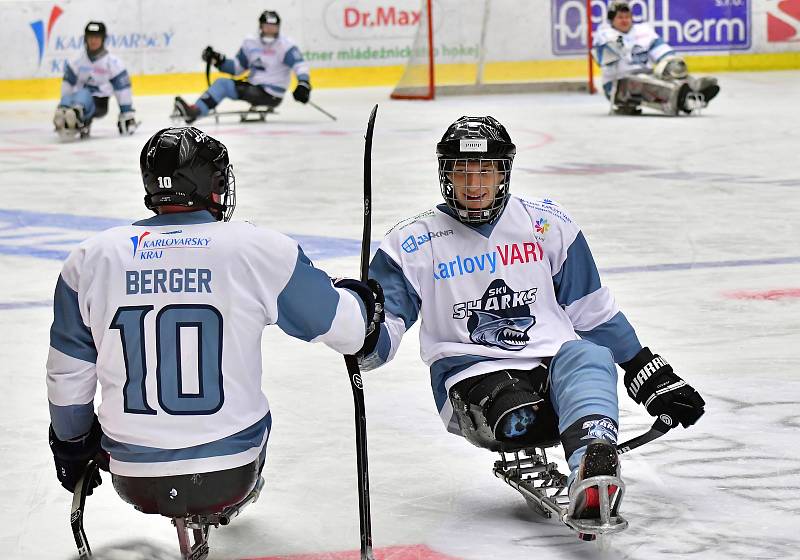 Již dva dny bojují v rámci I. ročníku Karlovy Vary Para Ice Hockey Tournament v lázeňském městě na ledě KV Areny o vítěznou trofej čtyři para hokejové výběry.