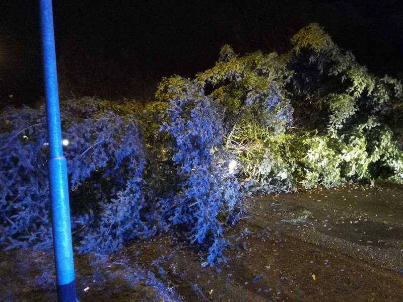 Vichřice Dudley vyvracela stromy v Karlovarském kraji