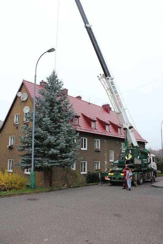 Vánoční strom v Karlových Varech už stojí.