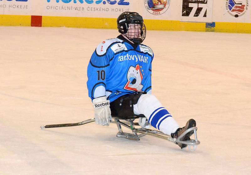 Sledge hokej: SKV Sharks K. Vary - SHK Mustangové AUTO IN 3:1.