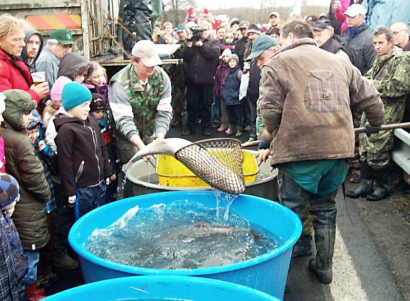 Po čtyřiceti letech se lovil Novorolský rybník