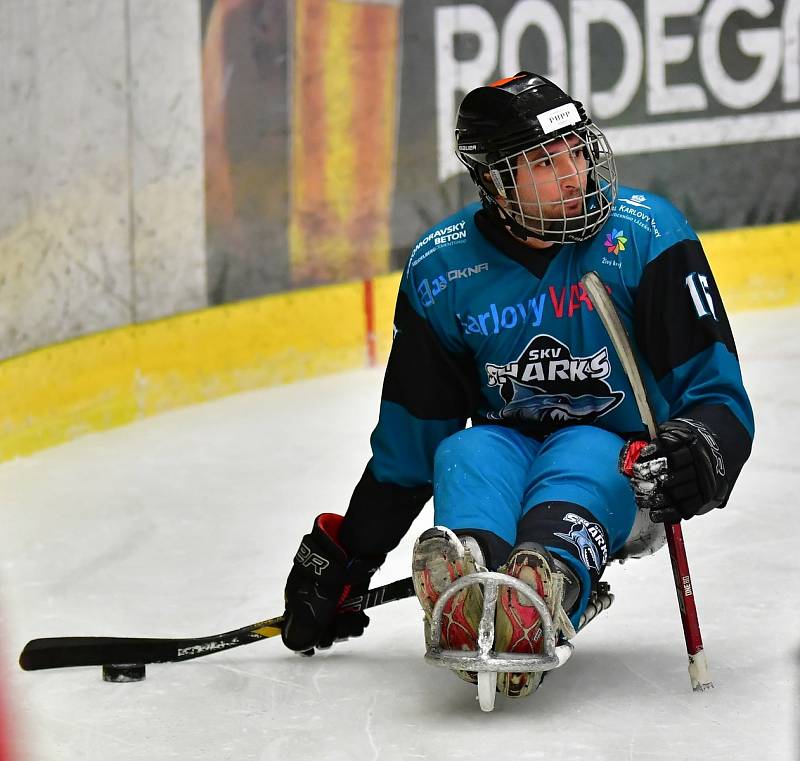 Para hokejisté SKV Sharks Karlovy Vary v souboji s pražskou Spartou urvali vysokou výhru 8:1.