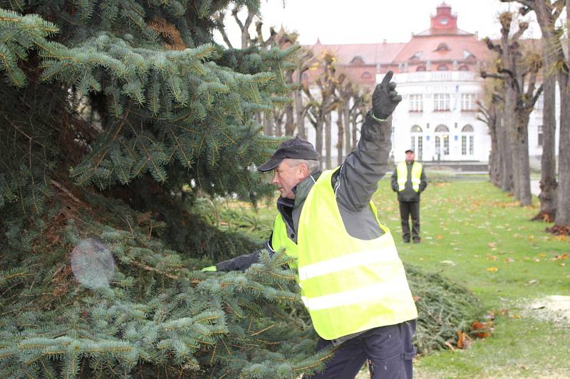 Vánoční strom města Karlovy Vary bude stát před Hlavní poštou.