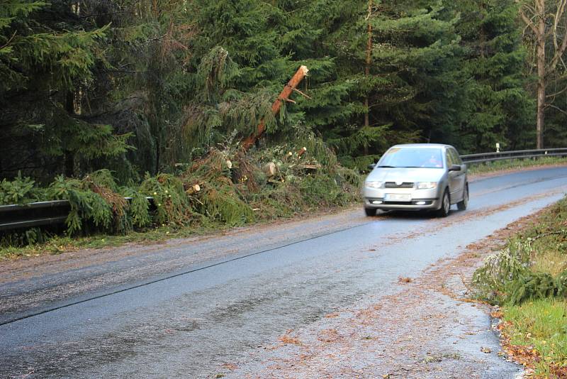 Vichřice, která se prohnala v neděli Karlovarským kraje, vyvracela stromy, trhala střechy a odnesla to i řada automobilů.