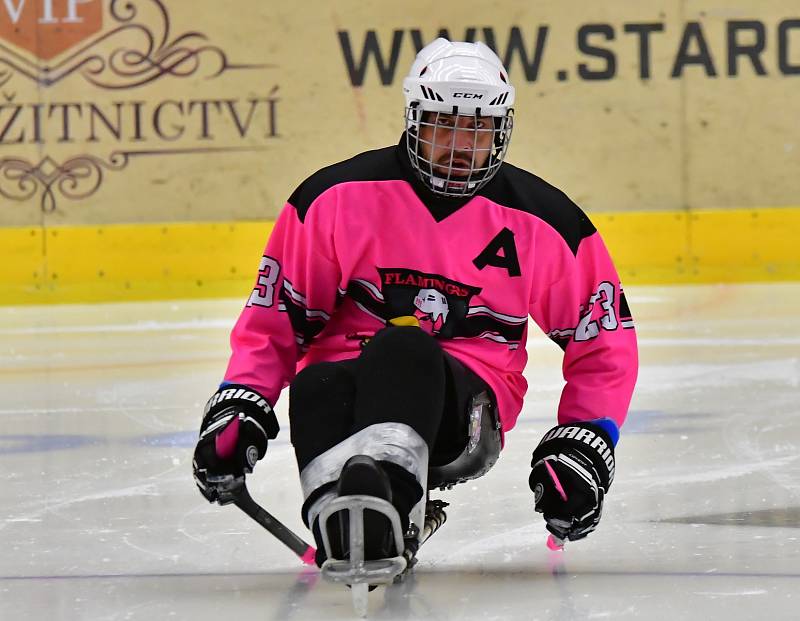 Již dva dny bojují v rámci I. ročníku Karlovy Vary Para Ice Hockey Tournament v lázeňském městě na ledě KV Areny o vítěznou trofej čtyři para hokejové výběry.