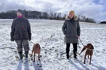 První trénink výcviku loveckých psů na Odeři.