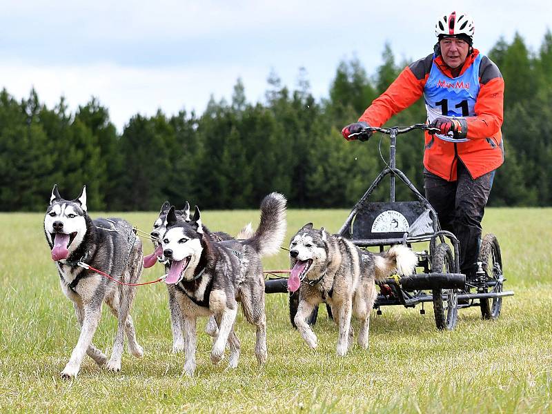 Siberian Husky víkend 2019