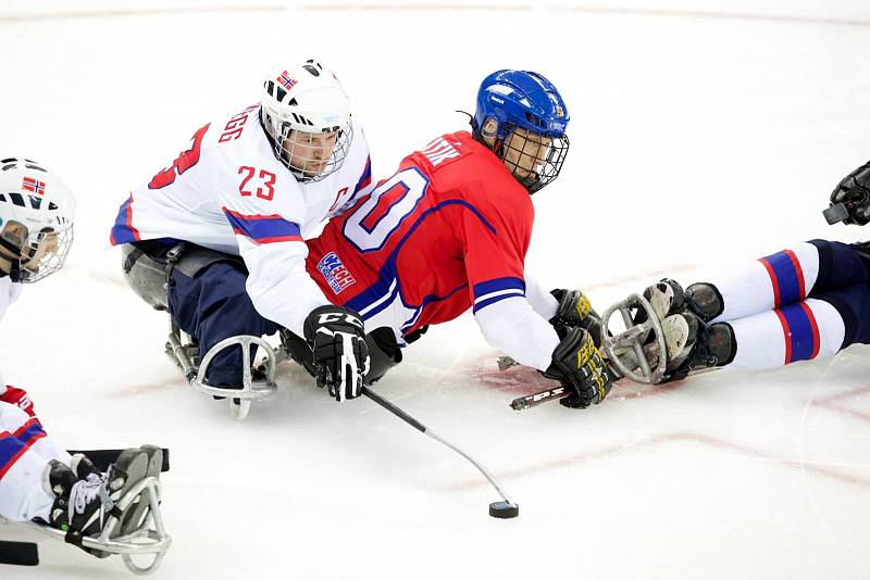 Paralympiáda: Česko - Švédsko 2:1 po sn