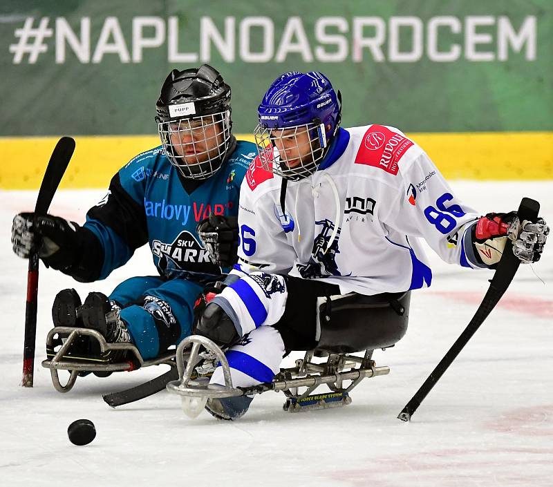 Dvě výhry během víkendu slavili v domácím prostředí para hokejisté SKV Sharks Karlovy Vary, kteří zdolali Havířov i Zlín.